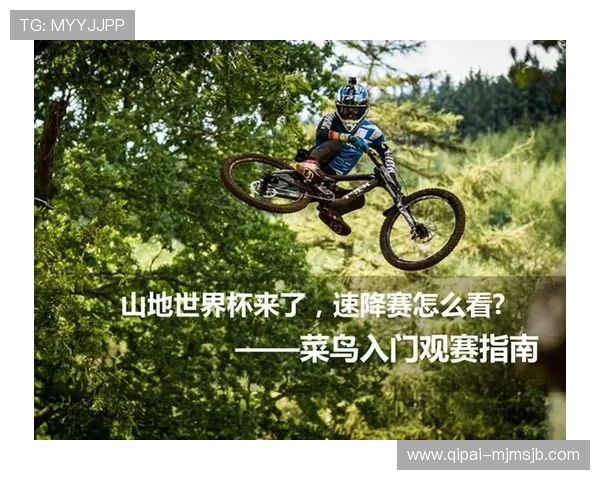 德国世界杯赛事期间的交通出行与观赛指南